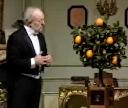 Orange Tree
